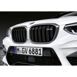 BMW Performance   M Performance  BMW X4M F98.  2