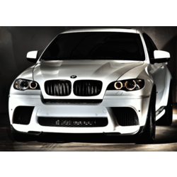 BMW Performance   BMW Performance  BMW X6 E71.  2