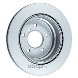 GANZ    BMW E81/E87/E90/X1(E84) /Vent.D=300mm.  2