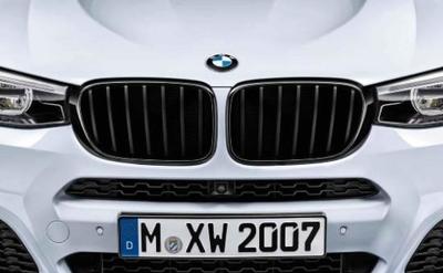 BMW Performance Решетка радиатора M Performance для BMW X3 F25 X4 F26 (фото)
