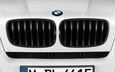 BMW Performance Решетка радиатора BMW X5 E70/X6 E71 (черная) (фото)