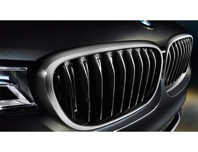 Решетки радиатора M760Li для BMW 7-серии G11/12 (фото)