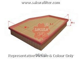 Sakura  