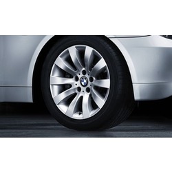 BMW    Radial-Spoke 244
