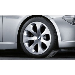 BMW    Ellipsoid Styling 121