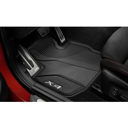 BMW     BMW X4 G02, 