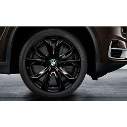 BMW   Star Spoke 491  BMW X5 F15/X6 F16