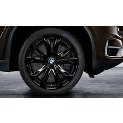 BMW    Star Spoke 491  BMW X5 F15/X6 F16