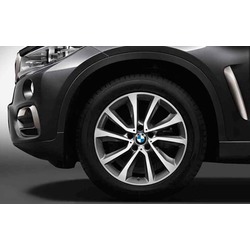 BMW    BMW V-Spoke 595 X6 F16