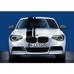 BMW Performance  M Performance   BMW F20 1-