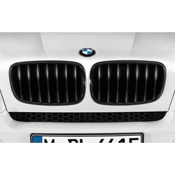 BMW Performance   BMW X5 E70/X6 E71 ()