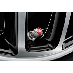 BMW       MINI