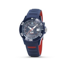  BMW ICE Watch