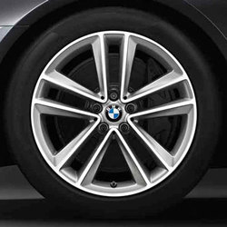    BMW Double Spoke 630 Ferricgrey