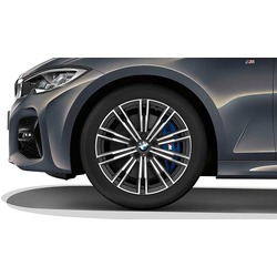   BMW Double Spoke 790M Bicolor    Pirelli Winter Sottozero 3 RSC