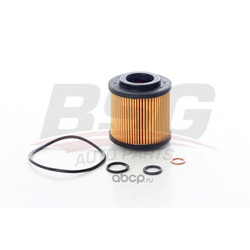 BSG AUTO PARTS  