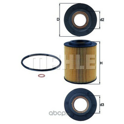 Mahle/Knecht  