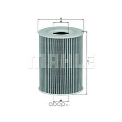 Mahle/Knecht  