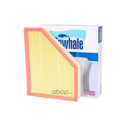 Finwhale  