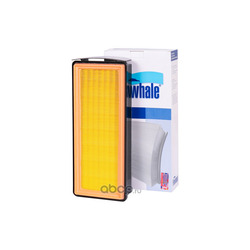 Finwhale  