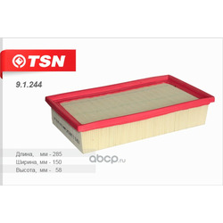 TSN  